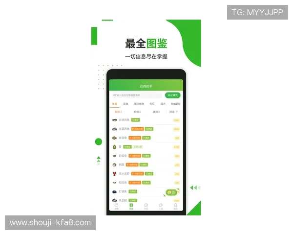 凯发正规app下载官网支持多种支付方式,确保玩家充值安全便捷,享受无忧游戏乐趣